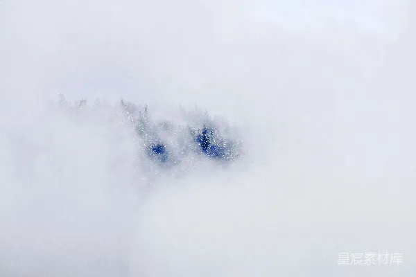 高清摄影 云中的树群