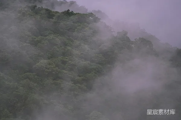 高清摄影 绿树掩映下的白云