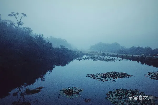 高清摄影 白天的水面