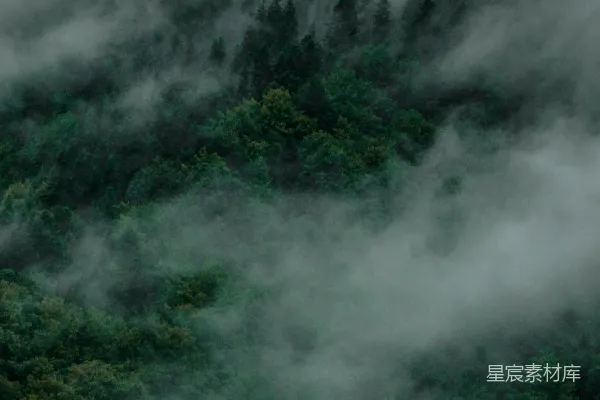 高清摄影 山峦被雾气覆盖，前景有树木。