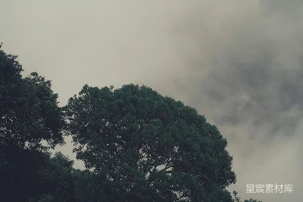 高清摄影 一架飞机在云天下的森林上空飞行。