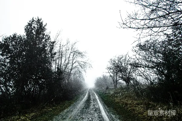 高清摄影 空旷的道路两旁是树木