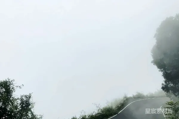 高清摄影 路边有树的道路