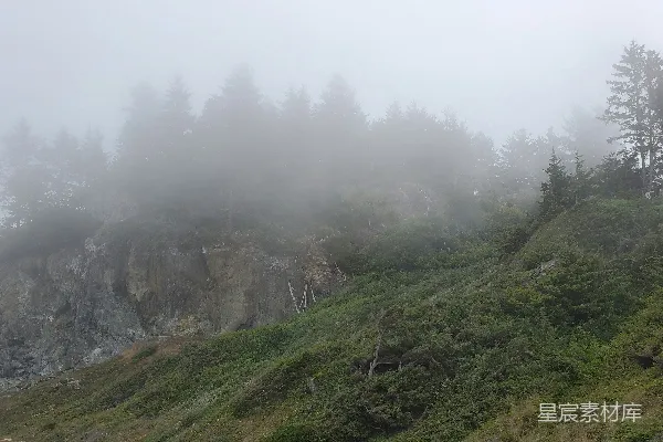 高清摄影 山间一片雾气缭绕的地方，树木丛生