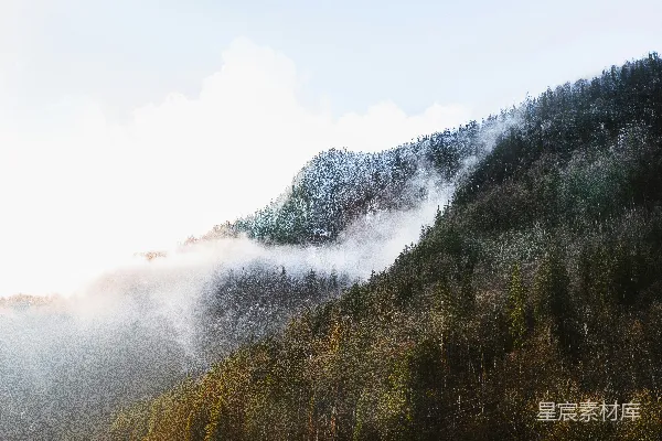 高清摄影 山中白天绿树葱茏