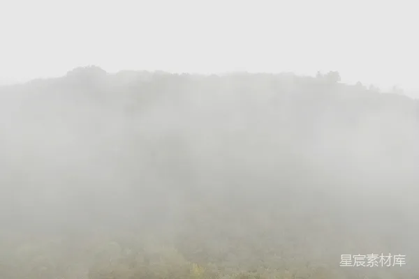 高清摄影 有雾的绿草 fields