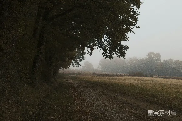 高清摄影 路边种有树木的小路