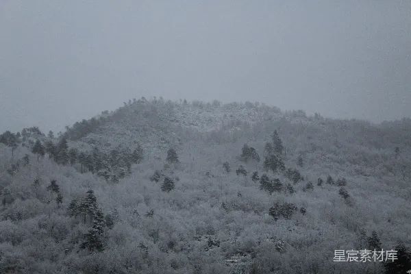高清摄影 覆盖着许多树木的雪山