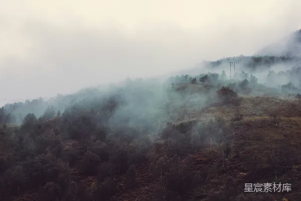 高清摄影 一道被雾和树木覆盖的小山在阴天里