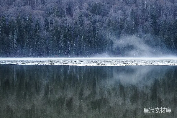 高清摄影 一艘船漂浮在湖边的森林旁