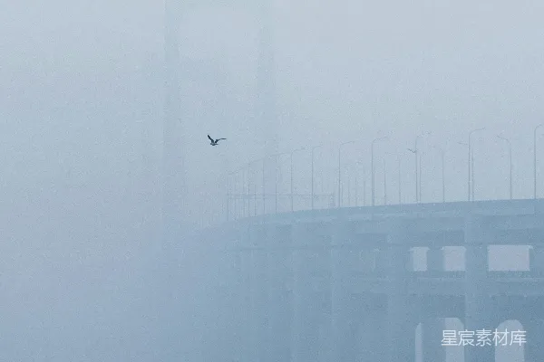高清摄影 一只鸟在雾天飞过一座桥