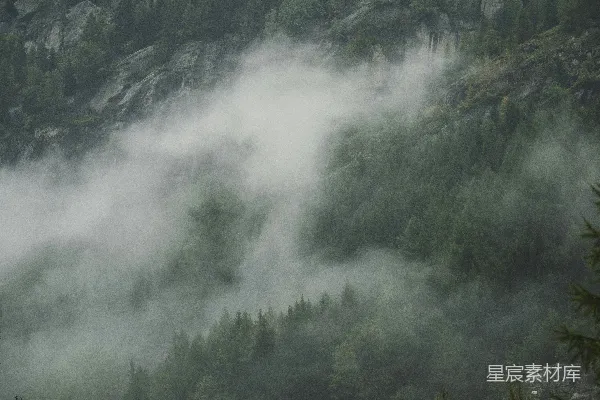 高清摄影 一座被雾笼罩的山峰， foreground 中有树木。