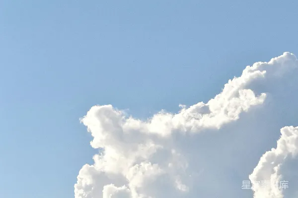 高清摄影 空中飞鸟旁边有许多云朵