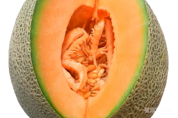 元素素材 小瓜