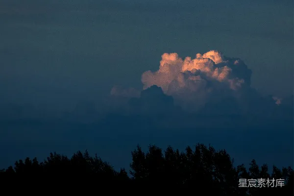 高清摄影 绿叶树木下的阴天 skies