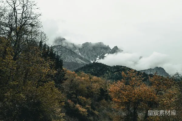 高清摄影 混凝土路两旁种有树木