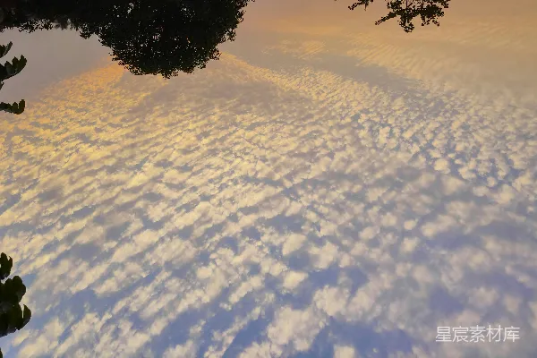 高清摄影 地面仰望天空的景象