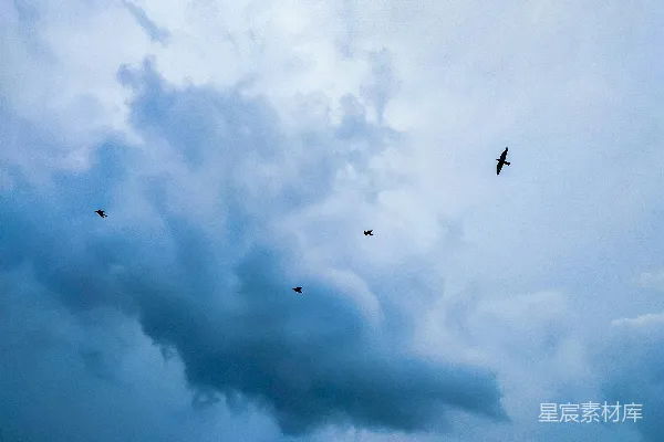 高清摄影 一群鸟在云层间的天空中飞翔