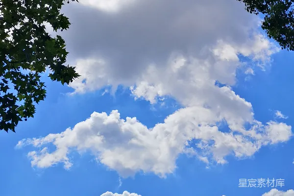高清摄影 建筑前面的一棵树