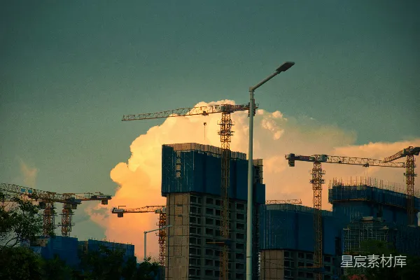 高清摄影 一群 crane 正站在一座高楼旁边