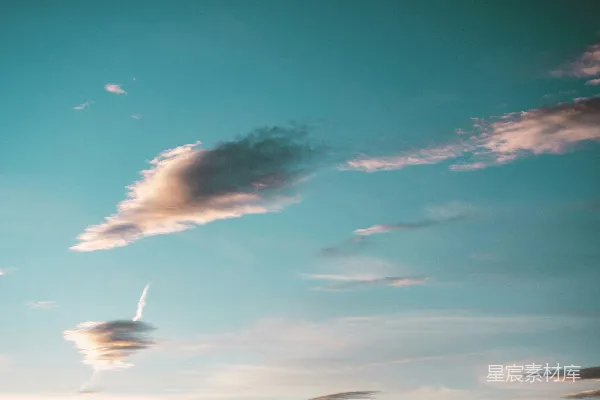 高清摄影 天空中飞翔的鸟儿