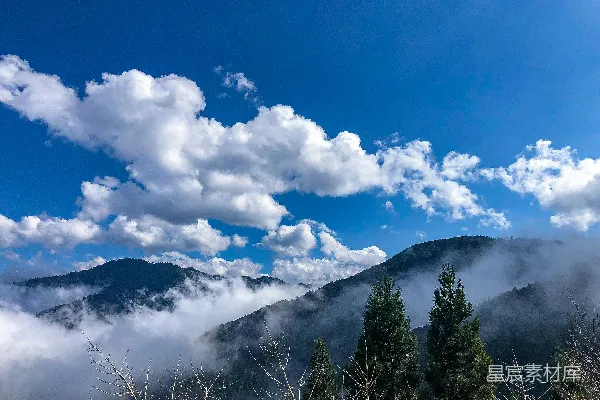 高清摄影 山脚下云雾缭绕，前景树木葱郁的一角。