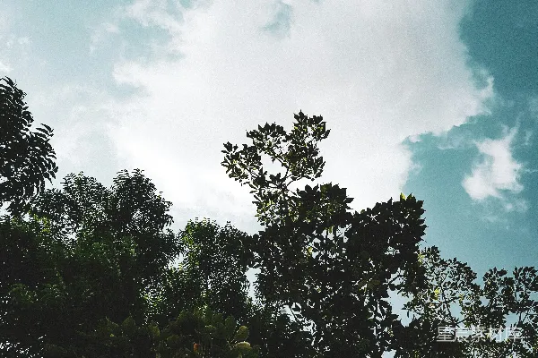 高清摄影 蓝天白云