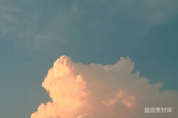 高清摄影 一棵树在云层的背景下轮廓分明
