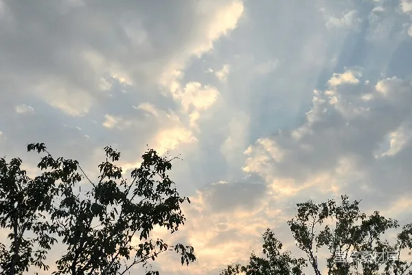 高清摄影 天空中的云朵
