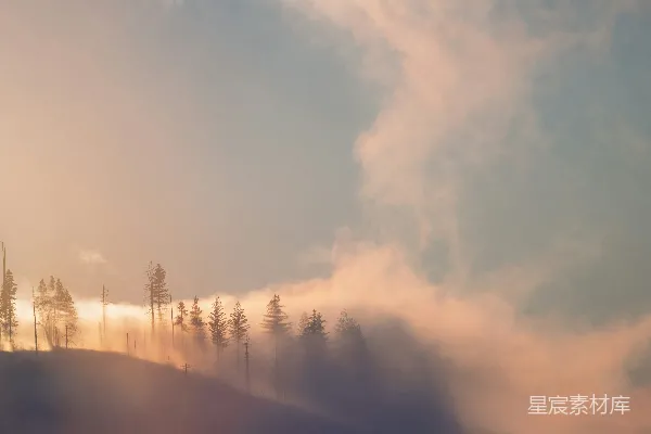 高清摄影 一幅有树木的山坡上的雾景