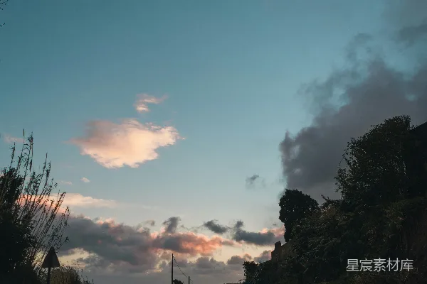高清摄影 夕阳西下，路上有树。