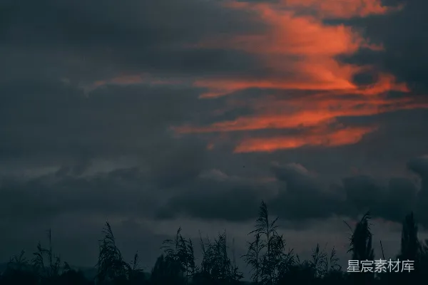 高清摄影 夕阳下云雾缭绕中树木的轮廓影子