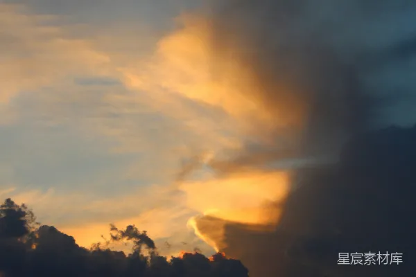 高清摄影 夕阳下树影的轮廓在阴云密布的天空中