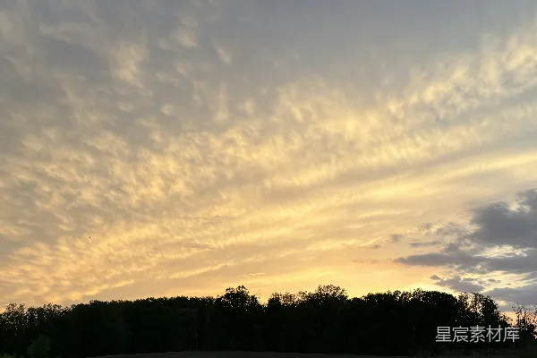 高清摄影 金色夕阳映照在一片黑暗森林的林线之上。