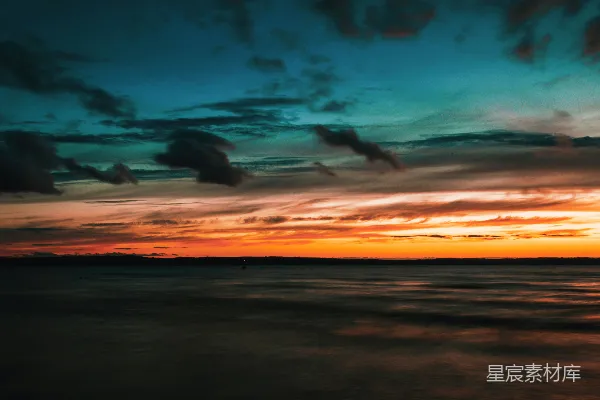 高清摄影 夕阳下海面上飞翔的鸟的轮廓