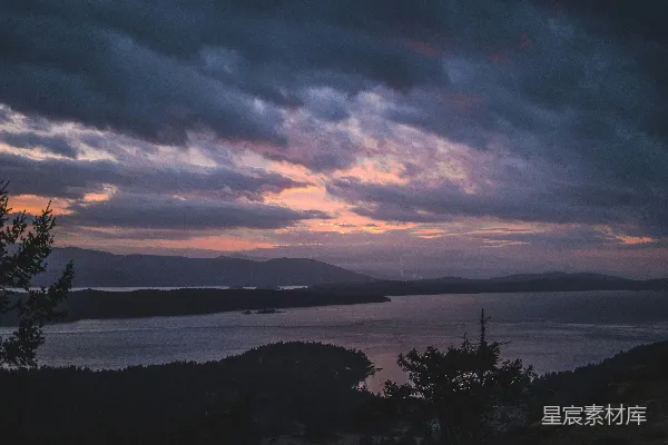 高清摄影 夕阳下树木的轮廓近水处