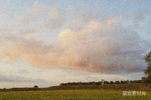 高清摄影 远处一大片空旷的田野中有一棵孤树。