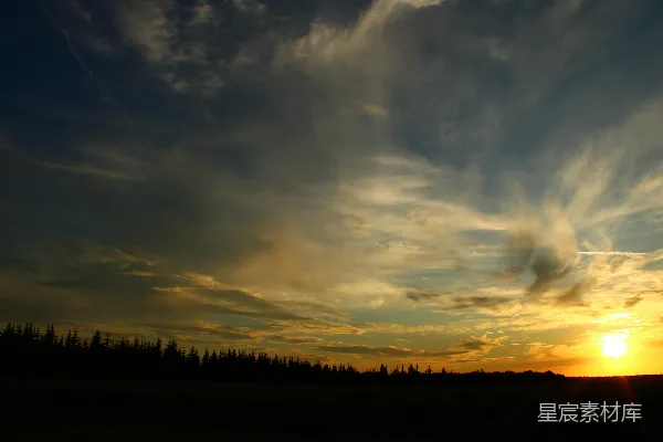 高清摄影 夕阳映照着一幅轮廓分明的森林景观。