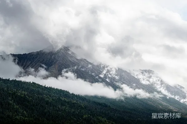 高清摄影 云雾覆盖的山峦和树影下的阴天景色