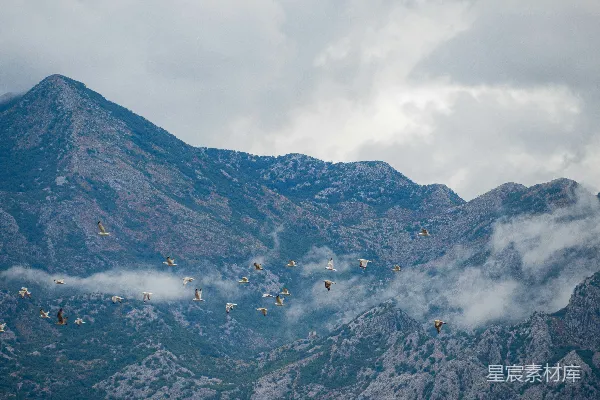 高清摄影 一群鸟飞过山峦