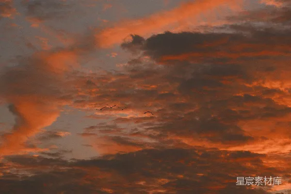 高清摄影 夕阳下的橙色云彩显得格外壮观。