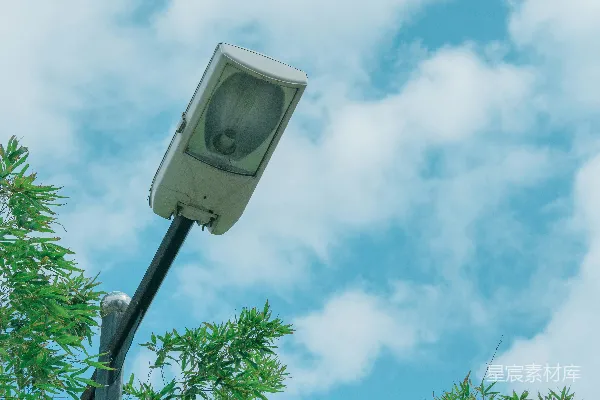 高清摄影 路边的一盏路灯旁边有一群树