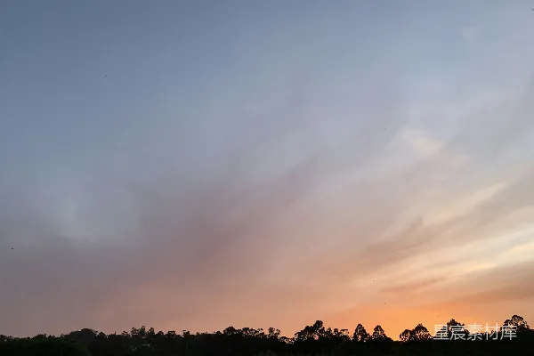 高清摄影 夕阳下的云彩映照着轮廓分明的树木