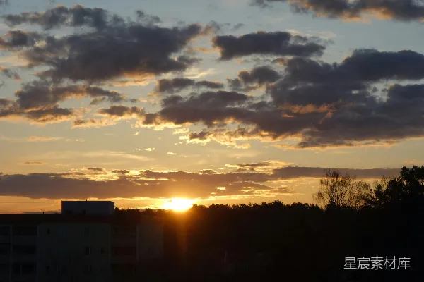 高清摄影 树影下的夕阳与天空中的云朵