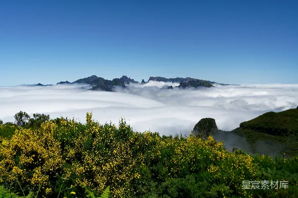 高清摄影 山间绿树之下，白天蓝天映照