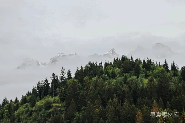 高清摄影 山峦被雾气覆盖，背景是树木和山脉。