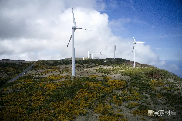 高清摄影 白风轮盘旋于绿色与黄色的草地上