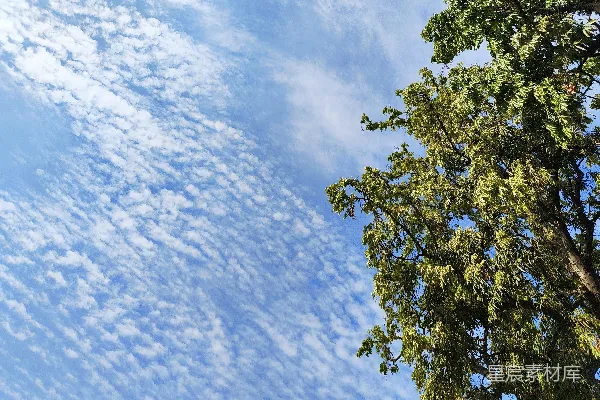 高清摄影 湛蓝的天空中点缀着稀薄的云朵和绿色的树木。