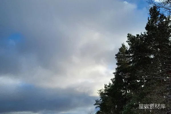 高清摄影 覆盖着白雪的道路周围是树木，在一片阴云密布的天空下。