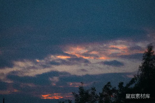 高清摄影 夕阳色的乌云笼罩着轮廓分明的树木